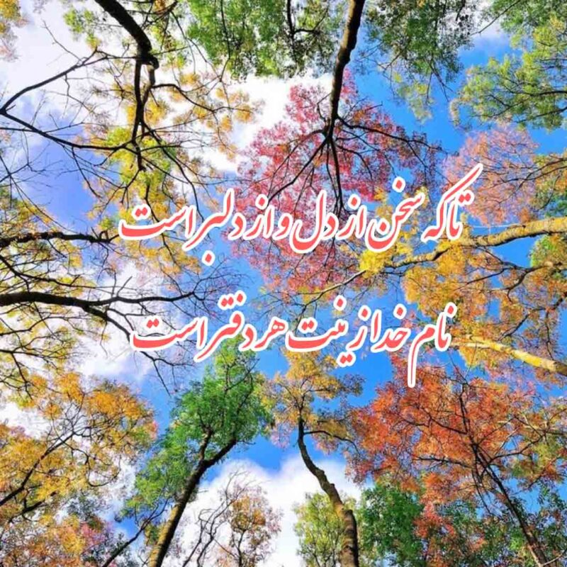 سپاسگزاری از نعمات خدا