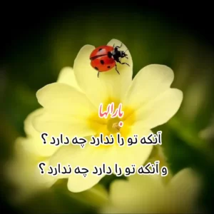 عکس نوشته خدا