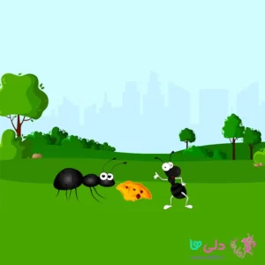 داستان آنتی و آنتولون | قصه کودکانه