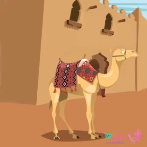 داستان شتر گم شده
