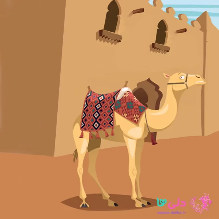 داستان شتر گم شده