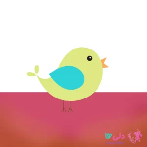 داستان کلاغ و پرنده کوچک