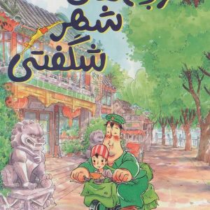کتاب کوچه های شهر شگفتی