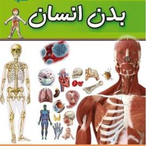بدن انسان